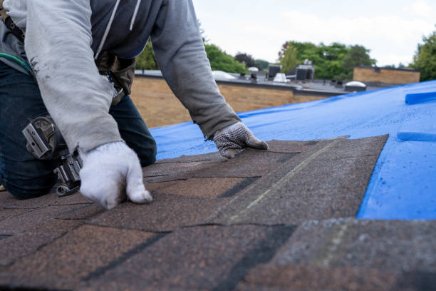 Roof Gutter Cleaning in Arvada, CO